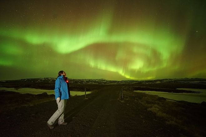 Chasing Aurora Borealis with Warmth and Treats Premium Tour!