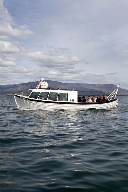 Horses & Puffins (Elfin Tour)