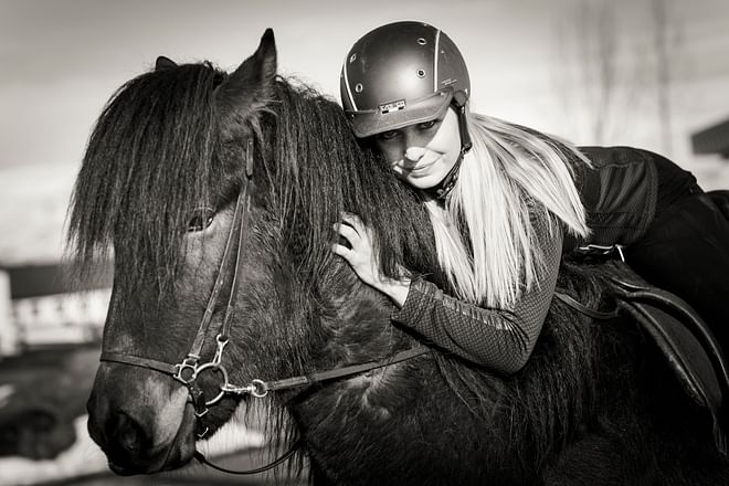 Private Horse Riding Tour (Akureyri) Skjaldarvik