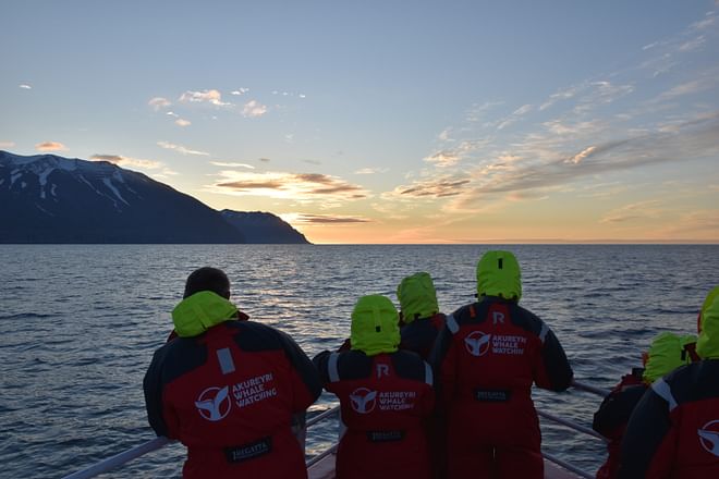 Akureyri Classic Whales in the Midnight Sun