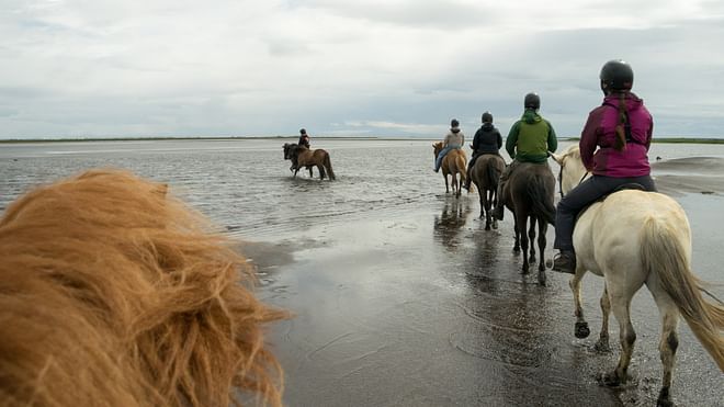 06A - The Beach Ride