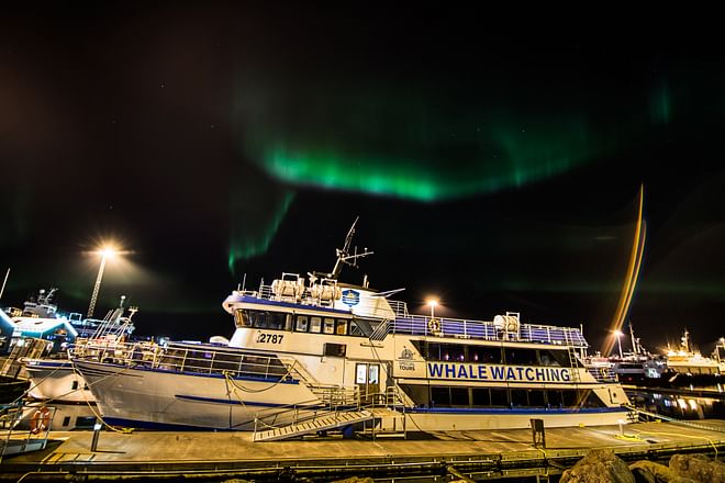 Northern Lights by Boat