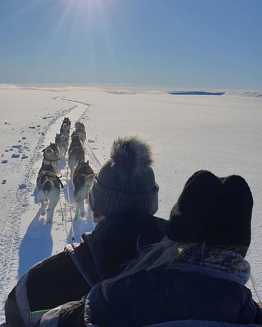 Dog Sledding in North Iceland