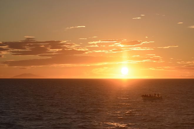 Premium Whales & Midnight Sun