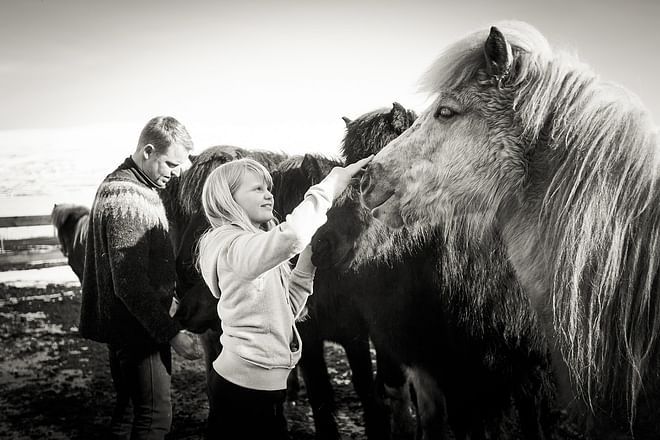 Kids Horse Riding Lesson (Akureyri) Skjaldarvik