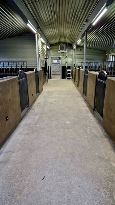 Horse Riding Tour in Reykjadalur (Hotspring Valley) 