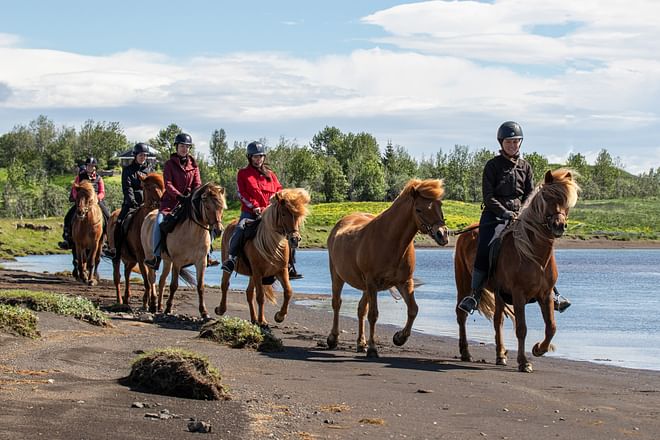 03B - Soft River Banks