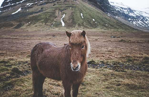 SNÆFELLSNES PENINSULA