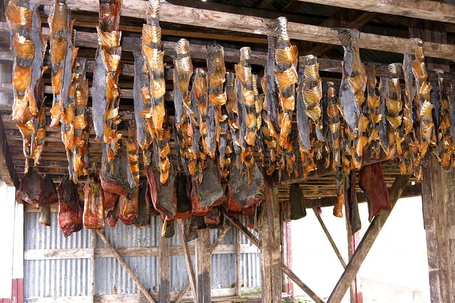 Raufarhöfn walking tour – classic town walk