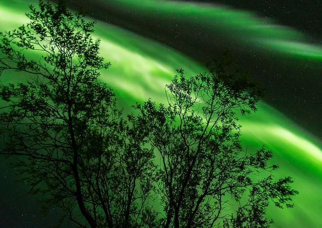 Northern Lights Mystery with hotel pickup