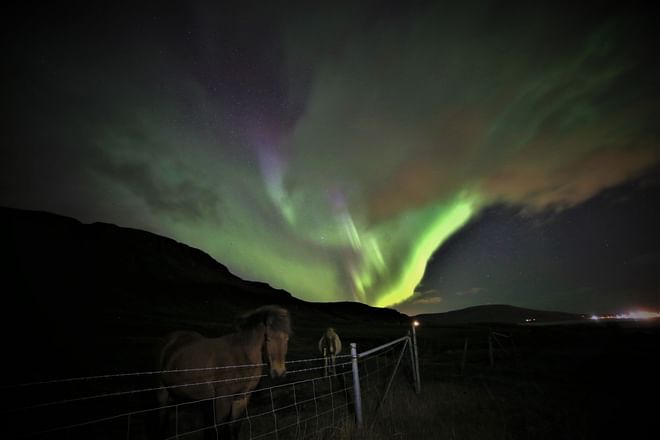 Northern Lights Safari on ATV