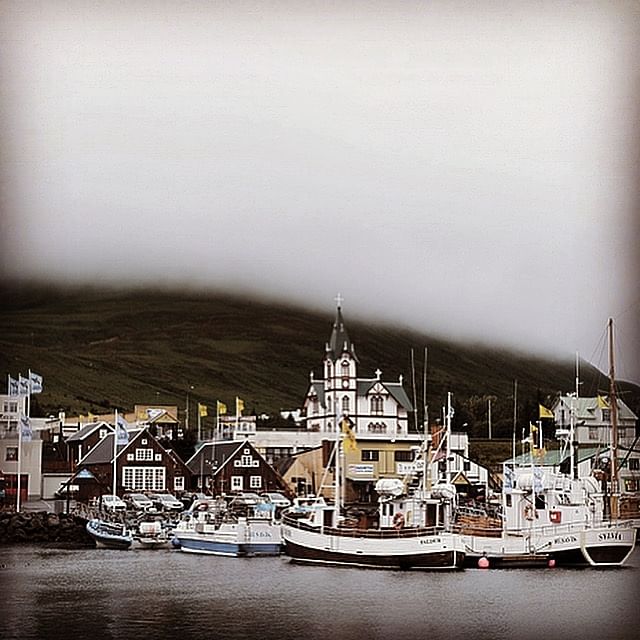 Ásbyrgi Canyon & Coast Line Tour