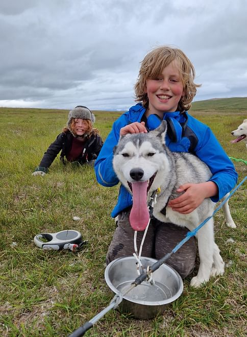 Siberian Husky Cart Ride 