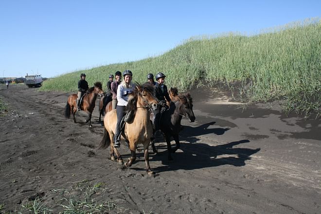 Beach Horse Riding Tour - Ölfus 