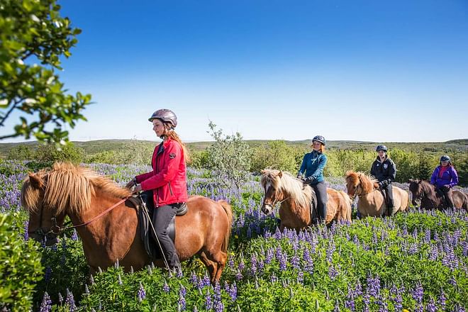 Private Horseback Riding Tour
