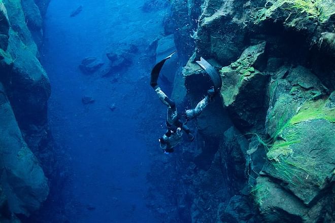 Freedive Silfra day tour