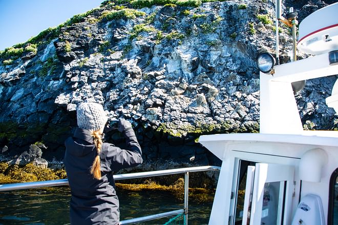 Ocean Adventures Puffin tour