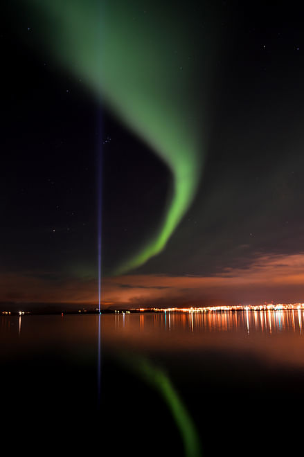 Whales & Auroras