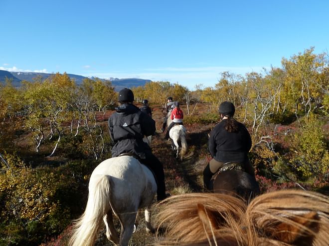 The Lava Tour ( Lake Mývatn )