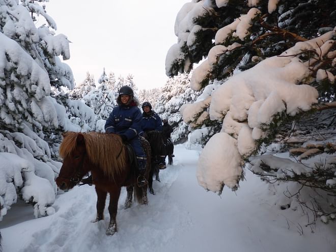 03C - Horses and Hot Springs