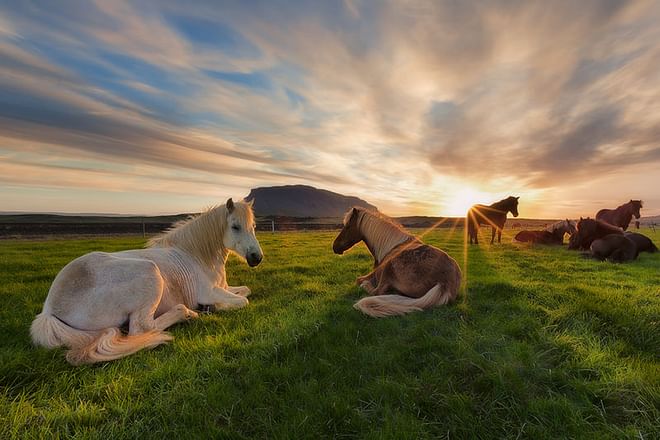 Midnight Sun in Westfjords Photography Workshop