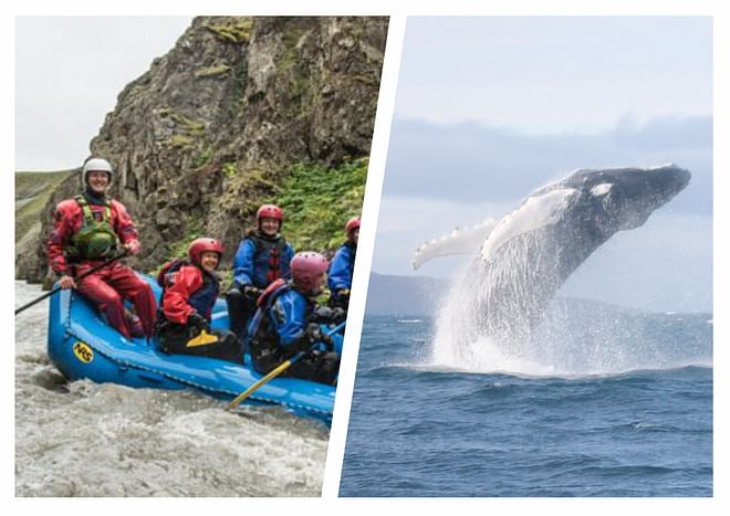 Whales & White Water Rafting