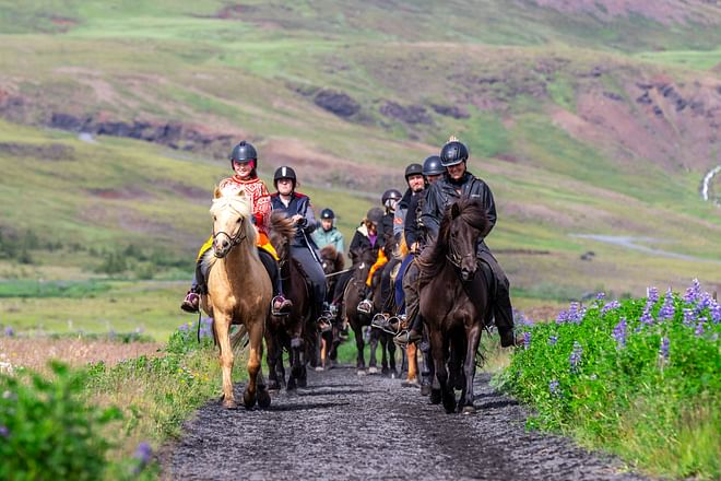 05A - The Hot Springs Tour