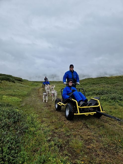 Siberian Husky Cart Ride 