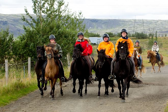 02B - The Siggi Tour