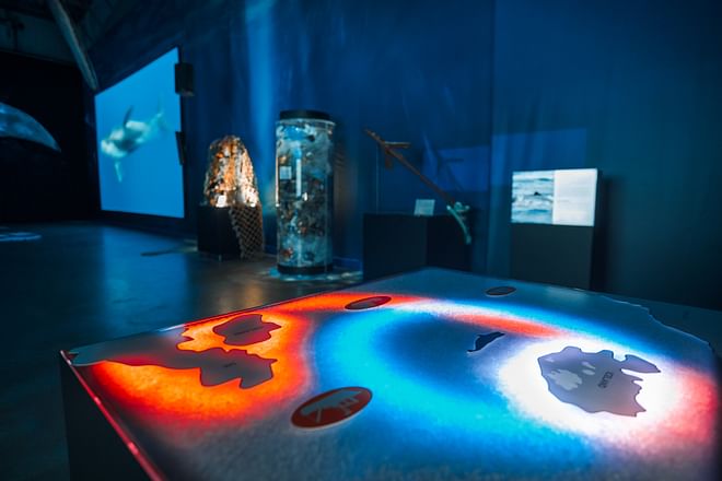 Whales of Iceland Museum Admission