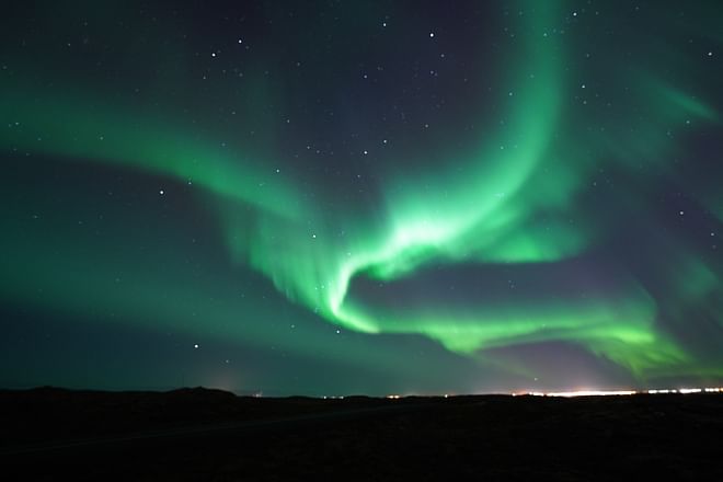 The #1 Northern Lights Tour in Iceland | FREE photos, Homemade Hot Chocolate & cinnamon buns