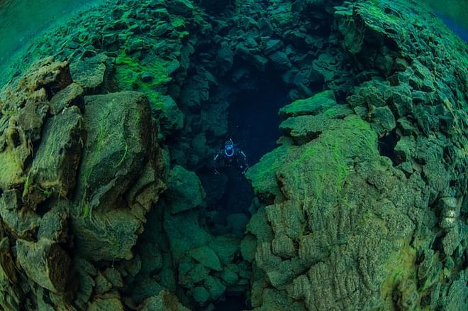 Freedive Silfra day tour