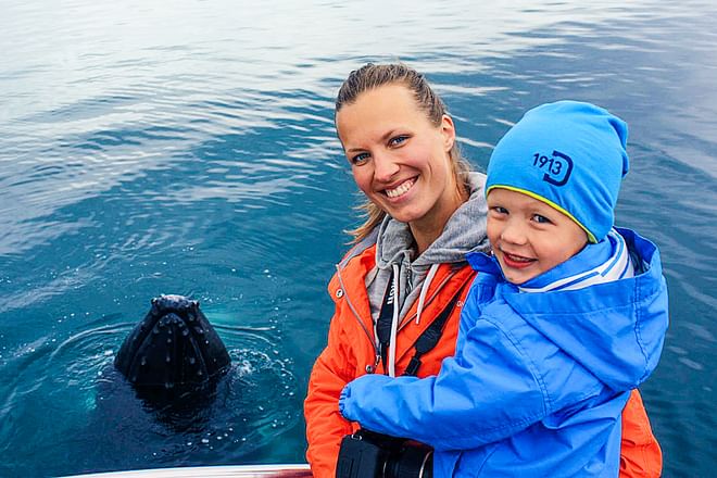 Whale Watching Eyjafjörður: From Árskógssandur