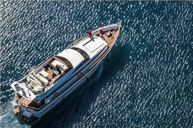 Whale Watching & Dolphin Yacht Cruise