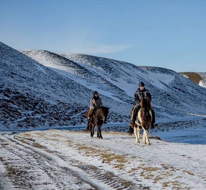 The Viking-Ride- All in One