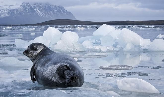Golden Circle - South Coast - Glacial Lagoon / 3 days