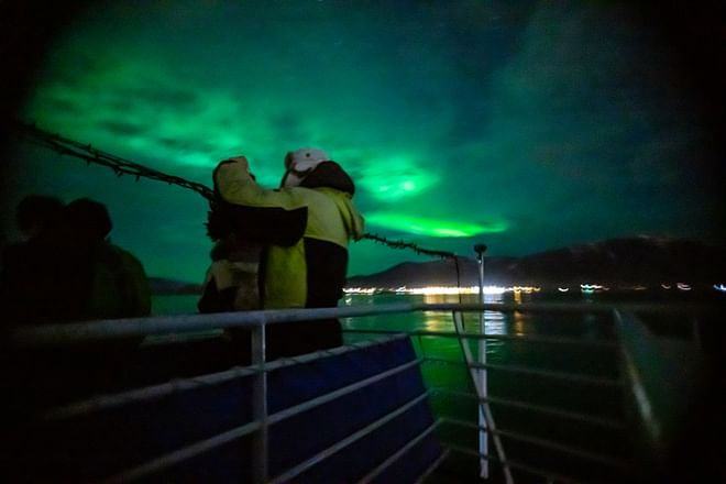 Whale Watching & Northern lights Combo Cruise from Reykjavik