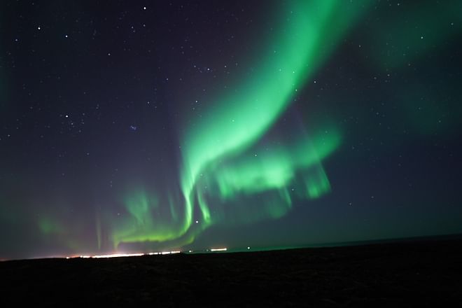 The #1 Northern Lights Tour in Iceland | FREE photos, Homemade Hot Chocolate & cinnamon buns