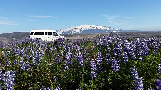 Private Hekla & Mælifell