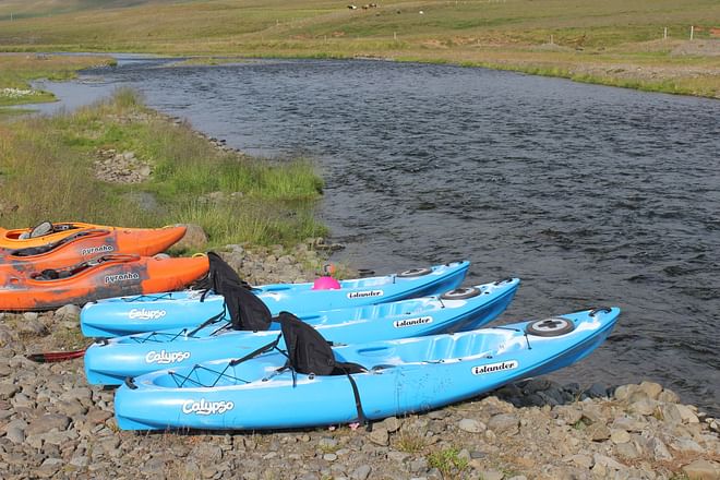Kayak trip