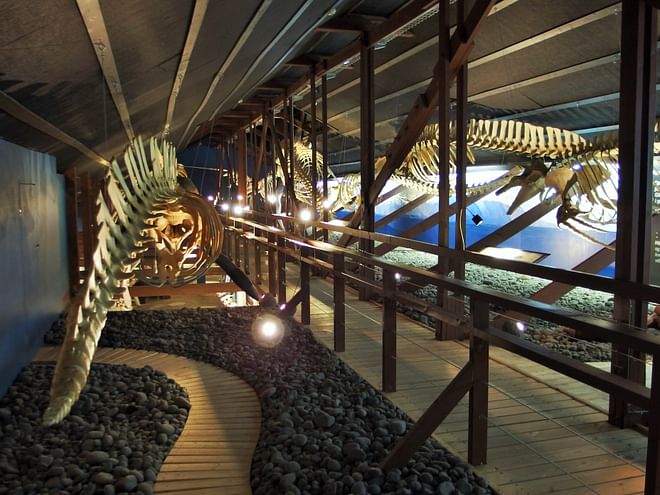 Húsavík walking tour - The Story of Fire Saga – Eurovision Netflix