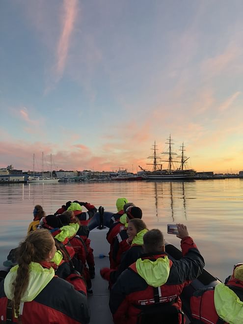 Premium Whales & Midnight Sun