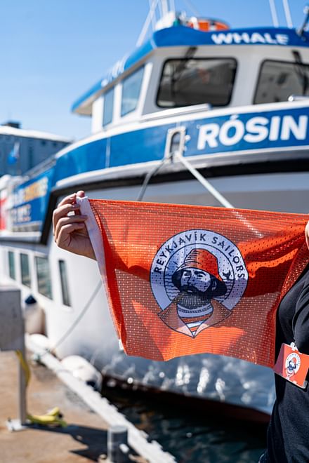 Whale Watching tour from Reykjavik