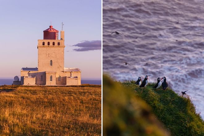 PRIVATE South Coast Tour | Day Tour | Midgard