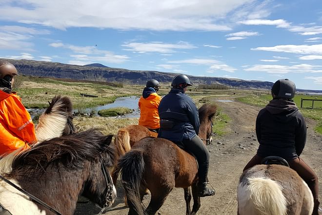 02E - The Elfin Tour