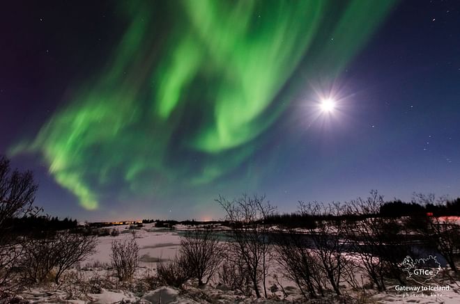 Northern Lights Tour (Private groups only)