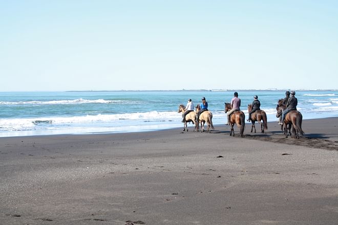 Beach Horse Riding Tour - Ölfus 