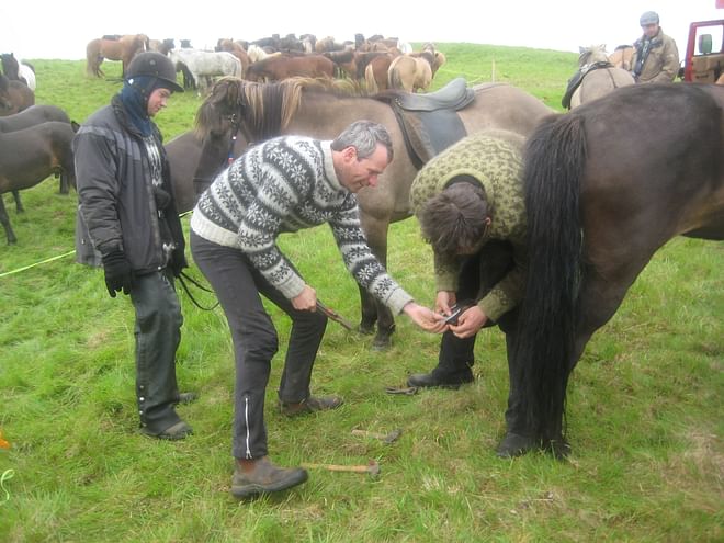 Volcano Tour 2022 (4 Days)