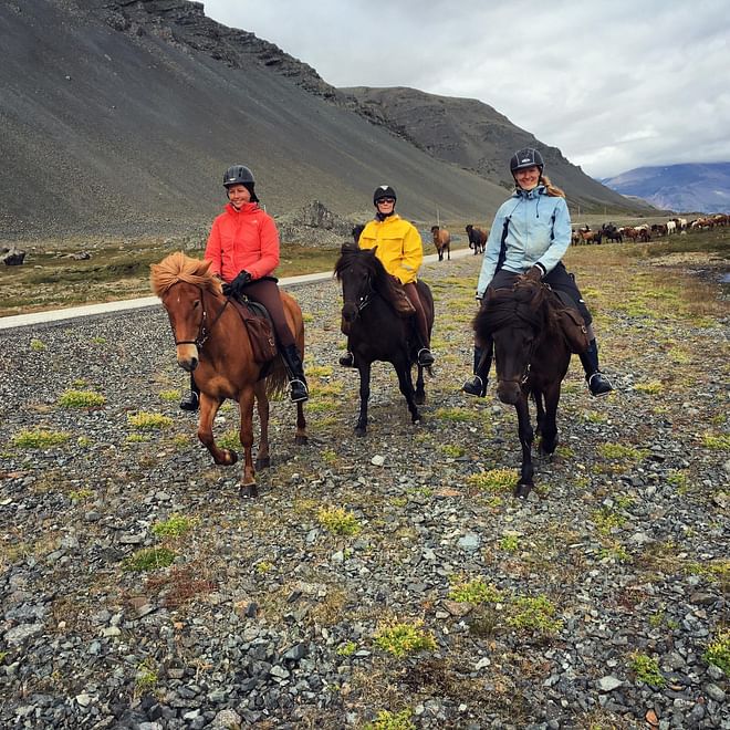 The Lava Tour ( Lake Mývatn )