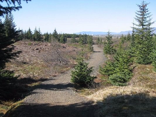 Red Lava Horse Riding Tour - Reykjavik